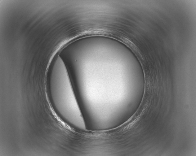 X0000060270989200510281030