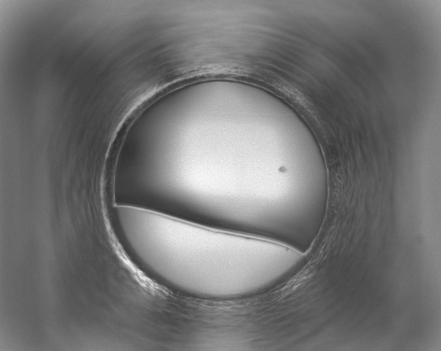X0000060270991200510281030