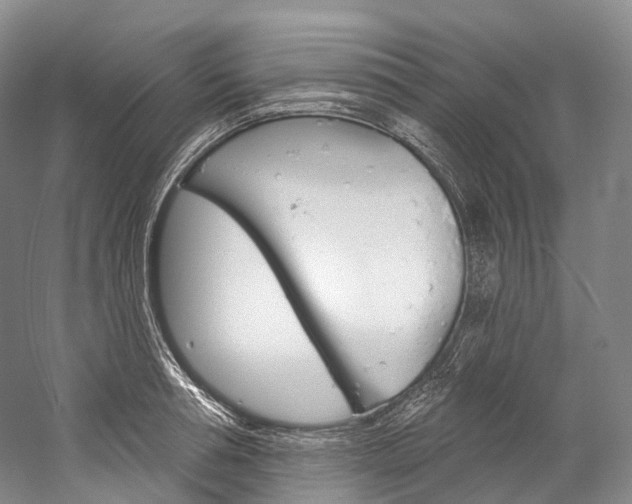 X0000060270994200510281030