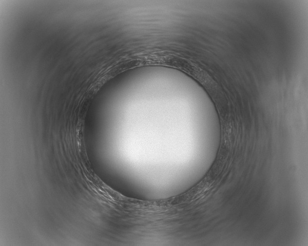 X0000060271010200510281029
