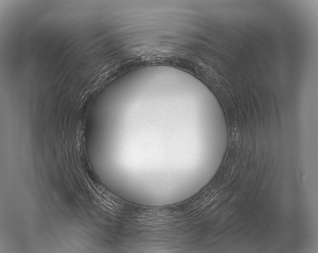 X0000060271012200510281029