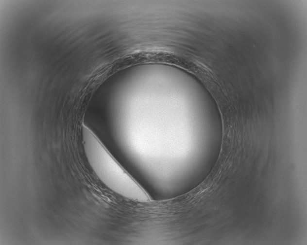 X0000060271014200510281029