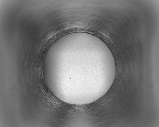 X0000060271015200510281029