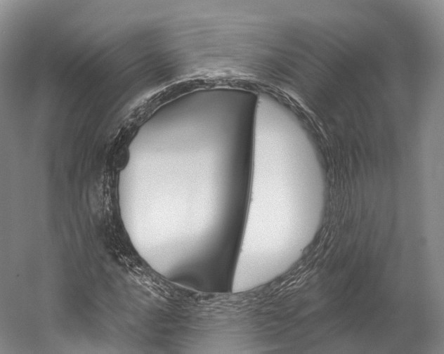 X0000060271016200510281029
