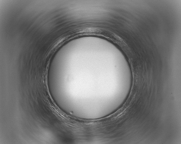 X0000060271017200510281029