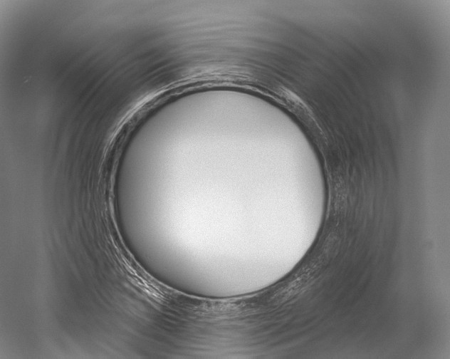 X0000060271019200510281029