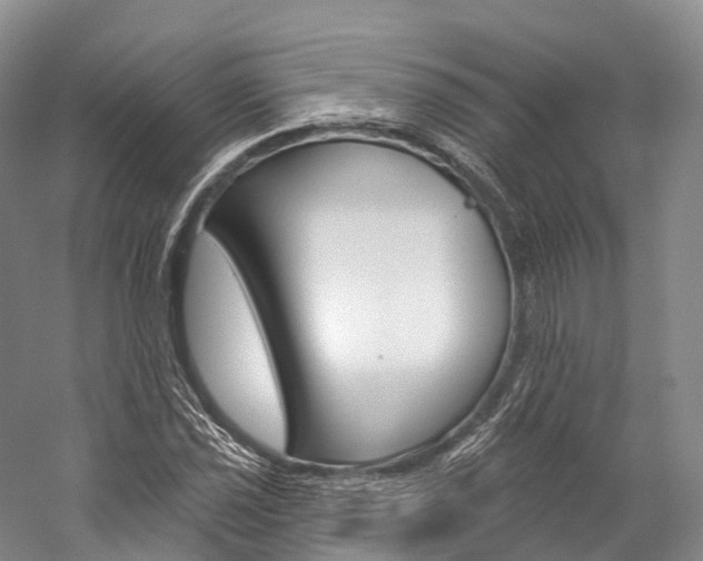 X0000060271021200510281029