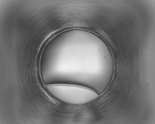 X0000060271024200510281029
