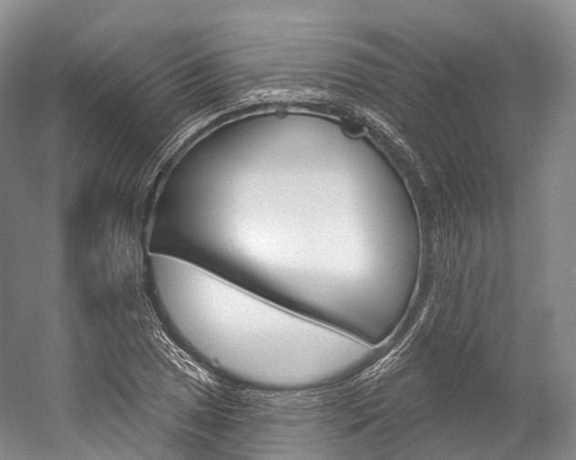 X0000060271025200510281029