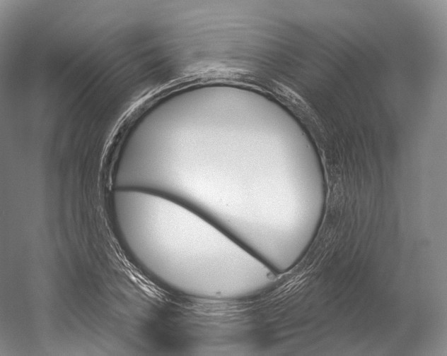 X0000060271027200510281029