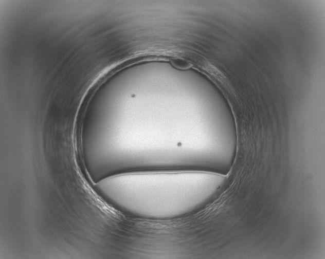 X0000060271028200510281029