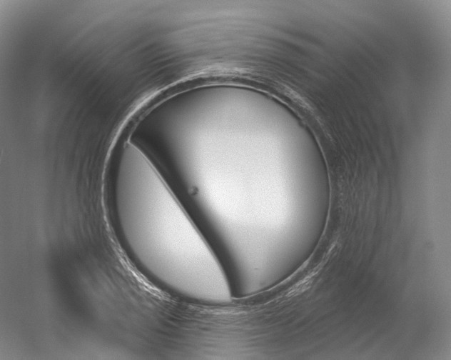X0000060271029200510281030