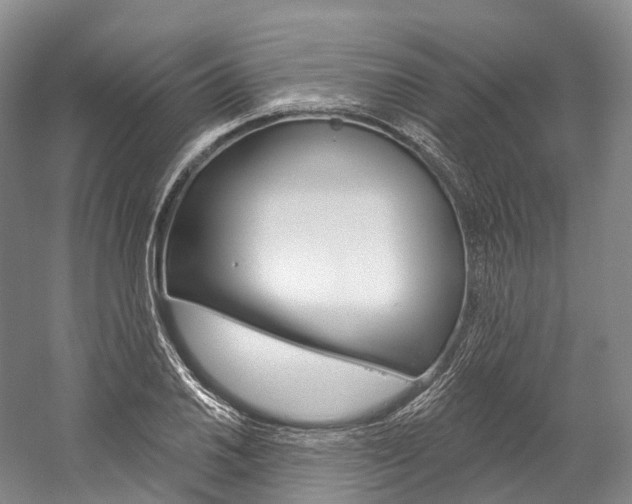 X0000060271030200510281030