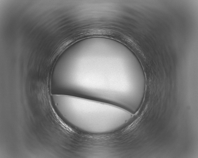 X0000060271033200510281030