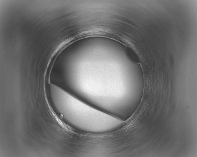 X0000060271034200510281030