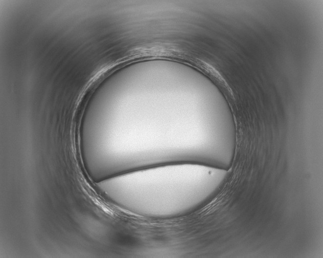X0000060271035200510281030