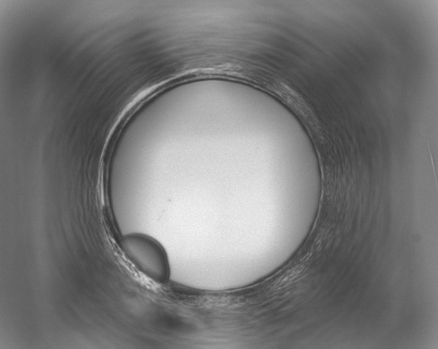 X0000060271036200510281030