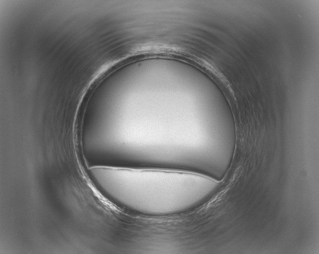 X0000060271037200510281030