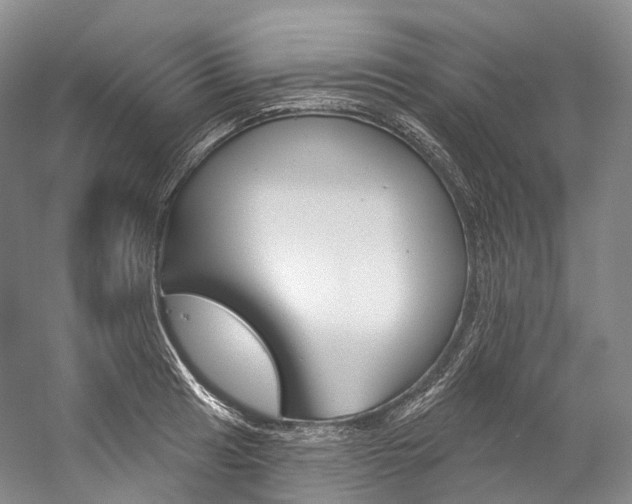 X0000060271041200510281030