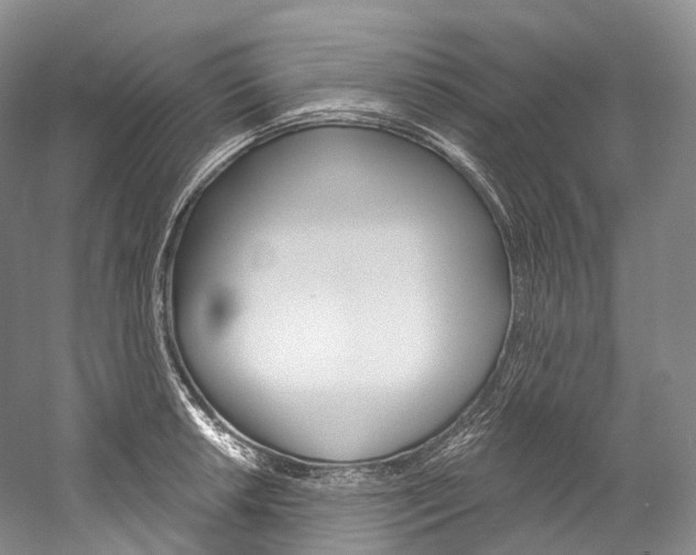 X0000060271042200510281030