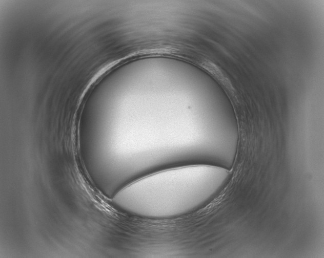 X0000060271044200510281030