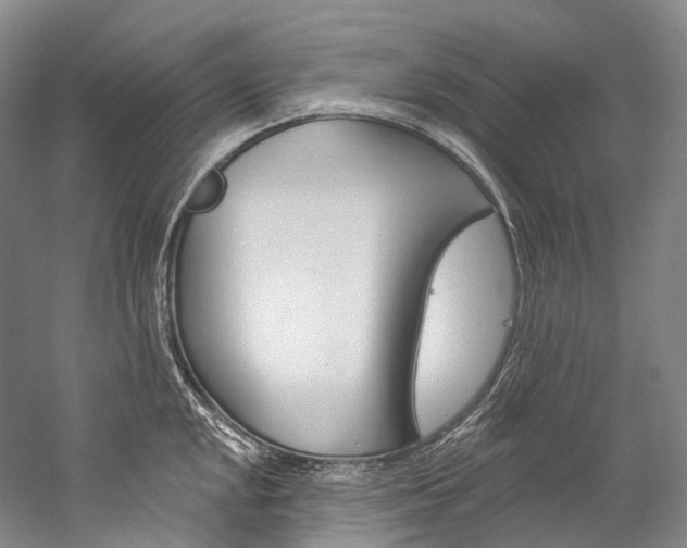 X0000060271048200510281030