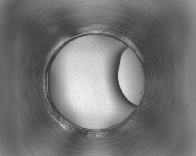 X0000060271051200510281030