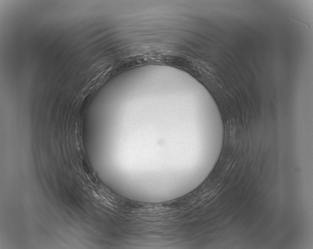 X0000060271060200510281029