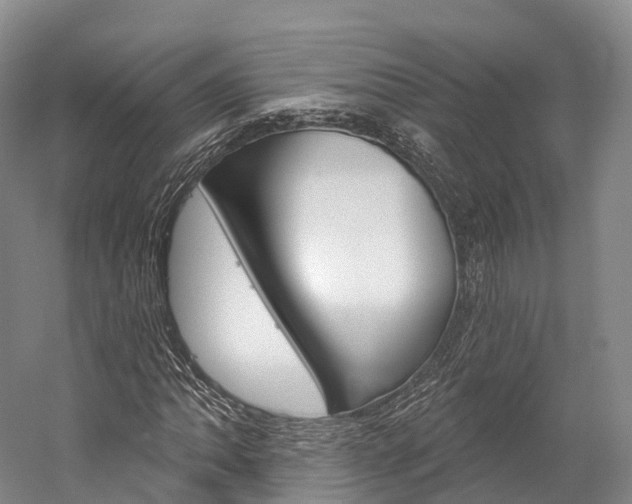 X0000060271062200510281029