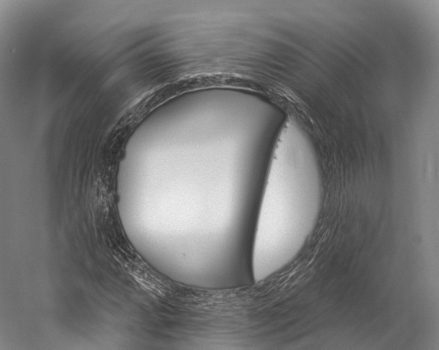 X0000060271064200510281029