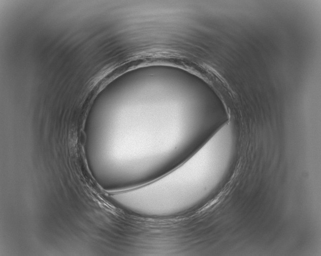 X0000060271065200510281029