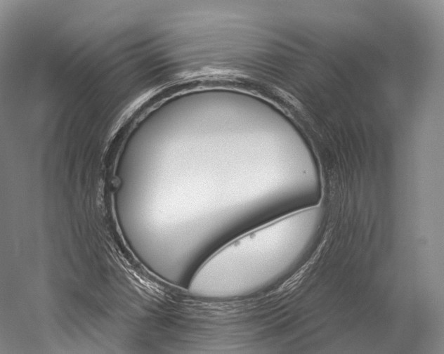 X0000060271066200510281029