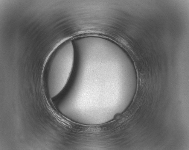 X0000060271068200510281029