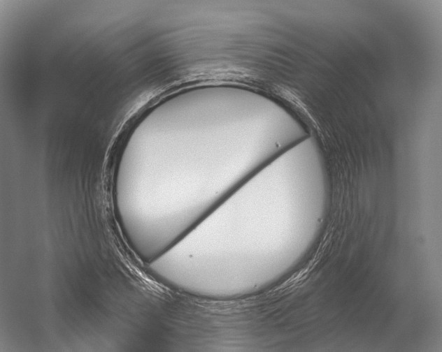 X0000060271071200510281029