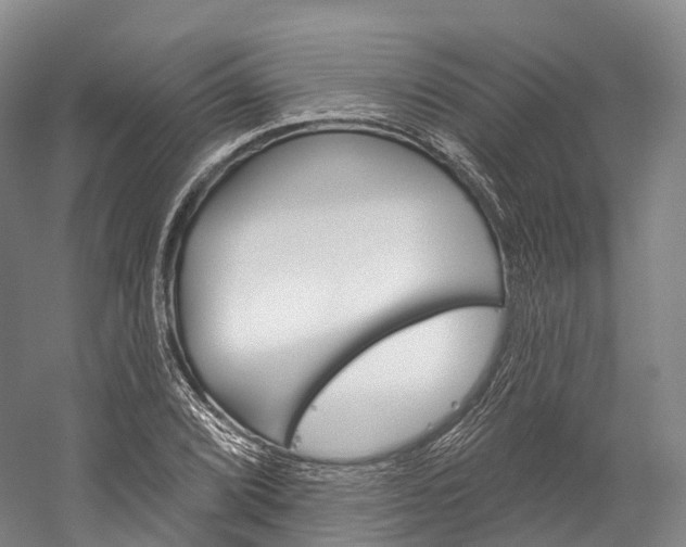 X0000060271072200510281029