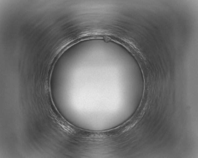 X0000060271073200510281029