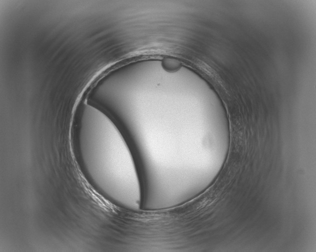 X0000060271076200510281029