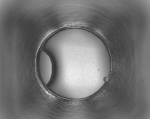X0000060271079200510281029