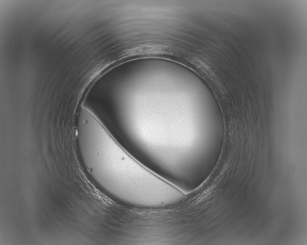 X0000060271081200510281029