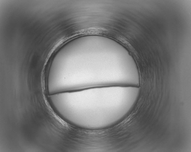 X0000060271083200510281029
