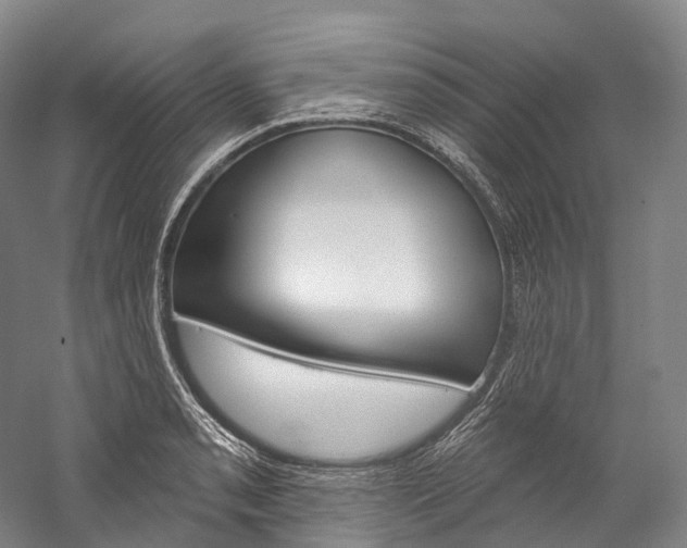 X0000060271085200510281029