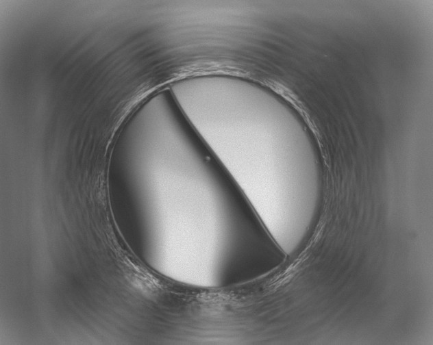 X0000060271089200510281029