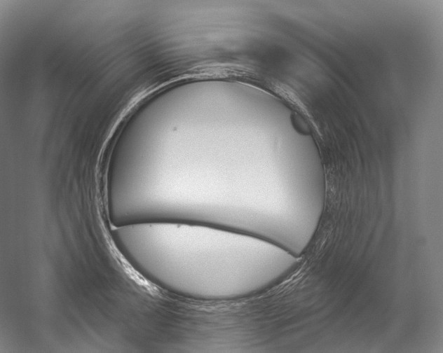 X0000060271091200510281029