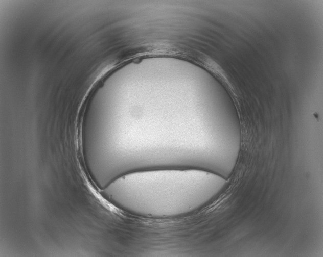 X0000060271095200510281029
