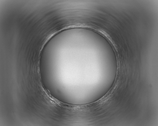 X0000060271097200510281028