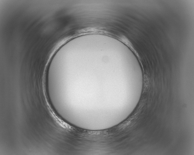 X0000060271098200510281028