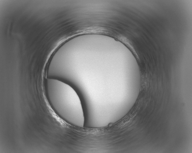 X0000060271099200510281028