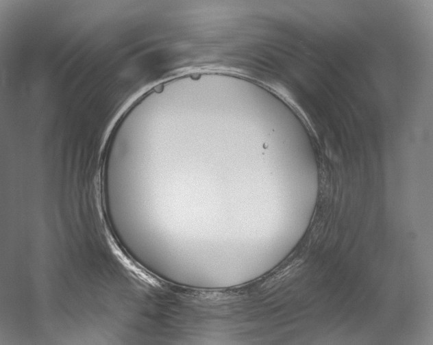 X0000060271100200510281028