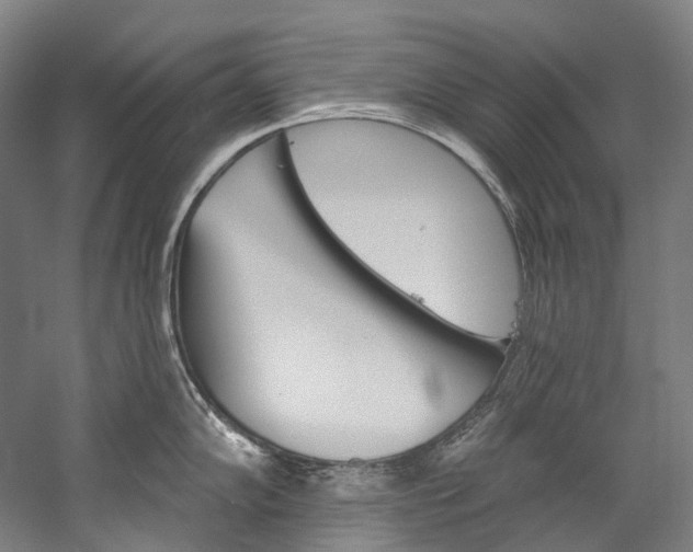 X0000060271102200510281028