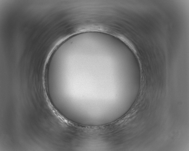 X0000060271104200510281028
